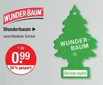 V Markt WUNDER-BAUM Angebot