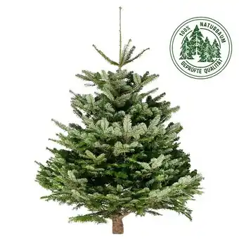 Bauhaus Piardino nordmanntanne (200 cm - 250 cm, weihnachtsbaum, gesägt) Angebot