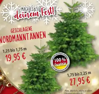 Sonderpreis Baumarkt GESCHLAGENE NORDMANNTANNEN Angebot