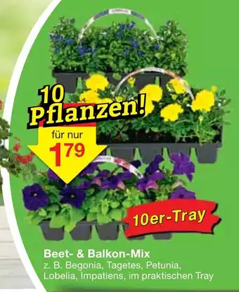 Jawoll Beet & Balkon Mix Angebot