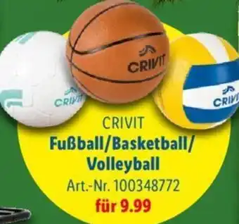 Lidl CRIVIT Fußball/Basketball/ Volleyball Angebot