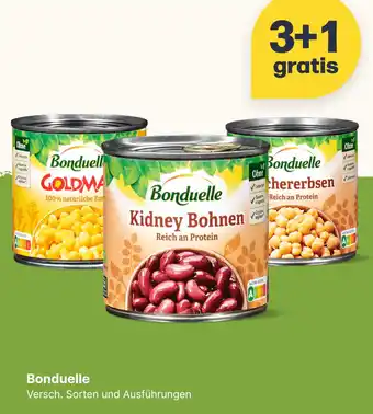 Picnic Bonduelle Angebot