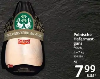 Selgros Polnische Hafermast-gans frisch, kg Angebot