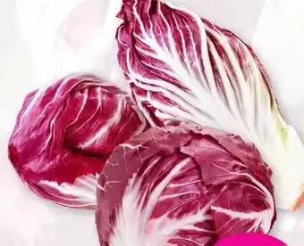 Denns BioMarkt Radicchio Angebot