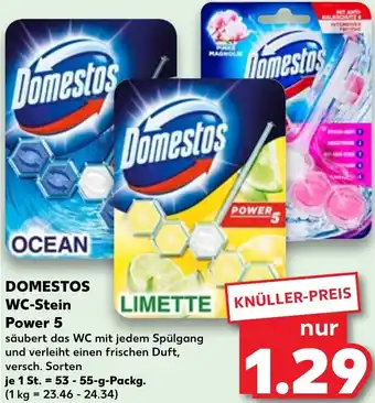 Kaufland DOMESTOS WC-Stein Power 5, 53-55 g Packg. Angebot