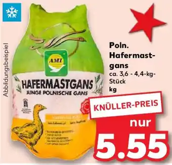 Kaufland Poln. Hafermastgans ca. 3,6-4,4 kg Stück Angebot