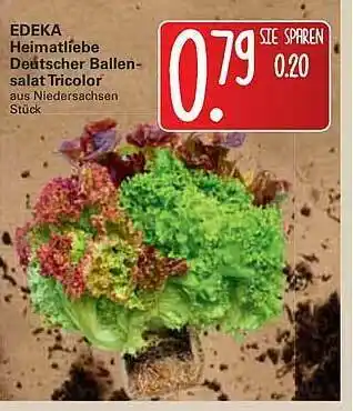 WEZ Edeka Heimatliebe Deutscher Ballen-salat Tricolor Angebot