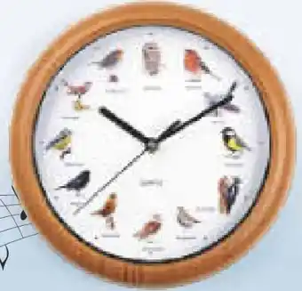 Netto Marken-Discount Vogeluhr Angebot