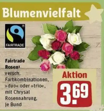 REWE Fairtrade Rosen Angebot
