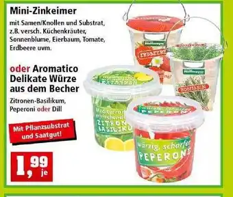 Thomas Philipps Mini-Zinkeimer Angebot