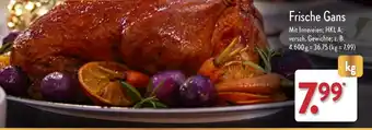 Aldi Nord Frische Gans Angebot
