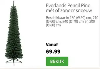 Globus Everlands Pencil Pine mét of zonder sneeuw Angebot