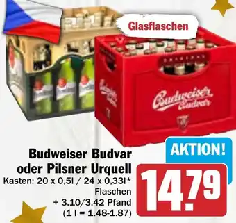 Hit Budweiser Budvar oder Pilsner Urquell 20x0,5 L/24x0,33 L Flaschen Angebot