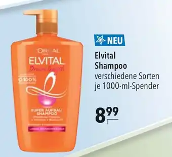 CITTI Markt Elvital Shampoo verschiedene Sorten je 1000-ml-Spender Angebot