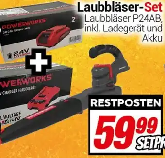 CENTERSHOP POWERWORKS Laubbläser-Set Angebot