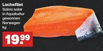 Handelshof Lachsfilet Salmo salar in Aquakultur gewonnen Norwegen kg Angebot