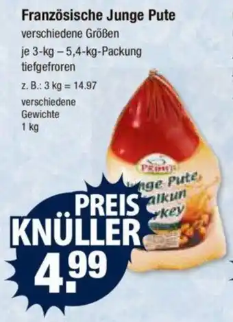 V Markt Französische Junge Pute je 3-kg-5,4-kg-Packung tiefgefroren Angebot