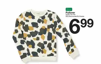 Zeeman Pullover Eco Angebot