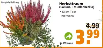 hela Herbsttraum Angebot