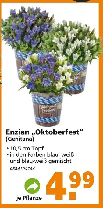 hela Enzian Oktoberfest Angebot