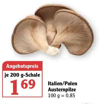 Globus Italien/Polen Austernpilze 200g Angebot