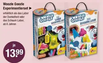 V Markt Woozle Goozle Experimentierset Angebot