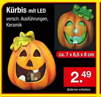 Zimmermann Kürbis mit LED Angebot