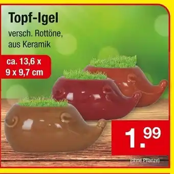 Zimmermann Topf Igel Angebot