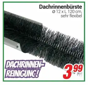 CENTERSHOP Dachrinnenbürste Angebot