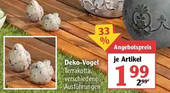 Globus Deko Vogel Angebot