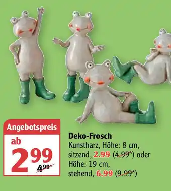 Globus Deko Frosch Angebot