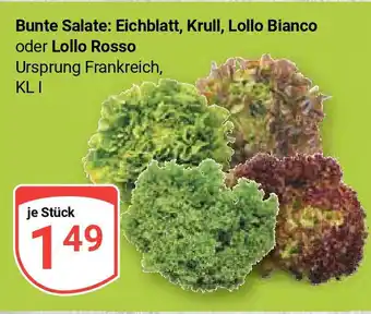 Globus Bunte Salate: Eichblatt, Krull, Lollo Bianco oder Lollo Rosso je Stück Angebot