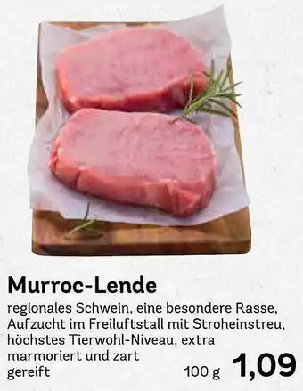 AEZ Murroc-lende Angebot