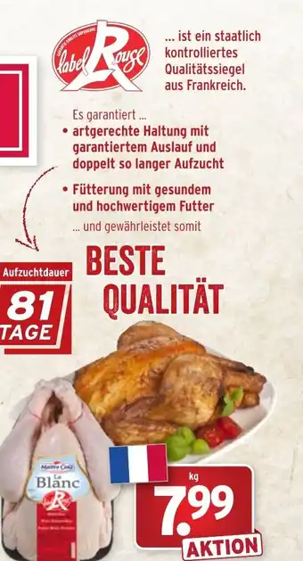 Wasgau Fütterung mit gesundem und hochwertigem Futter Angebot