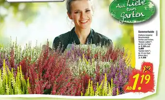 Floraland Sommerheide Angebot