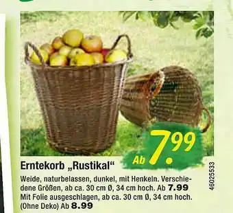 Floraland Erntekorb „rustikal” Angebot