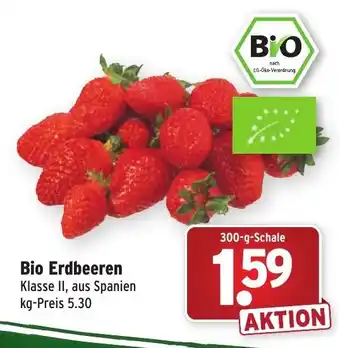 Wasgau Bio Erdbeeren 300g Angebot