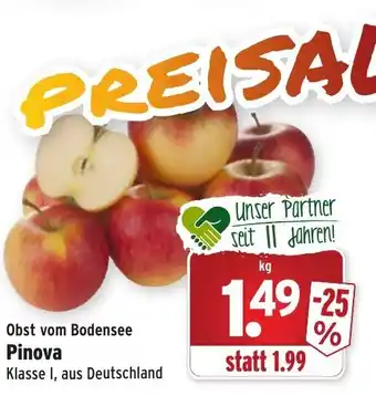 Wasgau Obst vom Bodensee Pinova Angebot