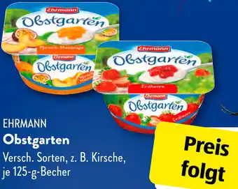 Aldi Süd EHRMANN Obstgarten 125 g Becher Angebot