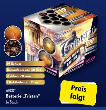 Aldi Süd WECO Batterie ,,Tristan“ Angebot