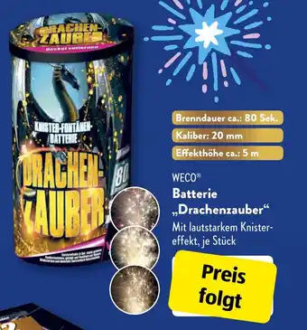 Aldi Süd WECO Batterie ,,Drachenzauber" Angebot