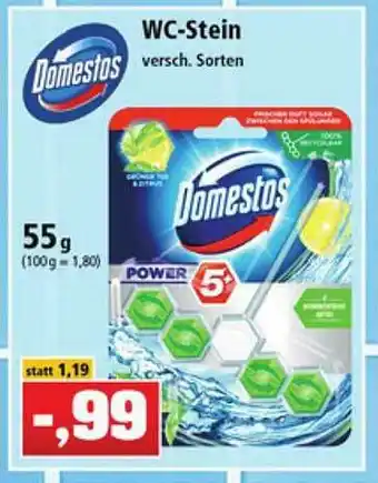 Thomas Philipps Domestos Wc-stein Versch. Sorten Angebot