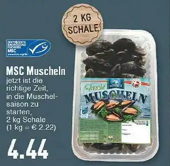 E-Center Msc Muscheln Angebot