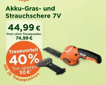 Wasgau Akku Grass & Strauchschere 7V Angebot