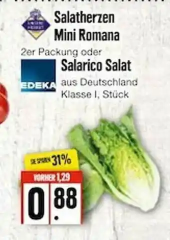 Edeka Frischemarkt Salatherzen Mini Romana Salarico Salat Angebot