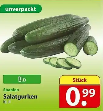 Famila Nord Ost Salatgurken Angebot