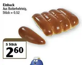 Globus Einback Angebot