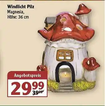 Globus Windlicht Pilz Angebot