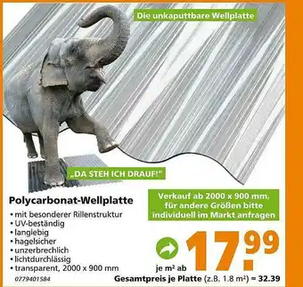 Globus Baumarkt Polycarbonat-wellplatte Angebot