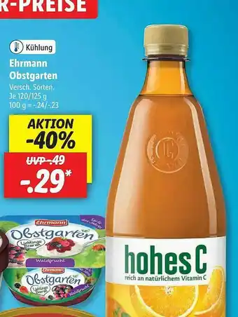 Lidl Kühlung Ehrmann Obstgarten Angebot